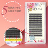 【黑色】夏綠蒂YY睫毛0.07 J/B捲 【黑色】夏綠蒂YY睫毛0.07 J/B捲