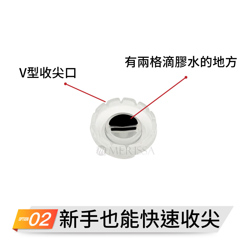 收尖開花太陽杯
